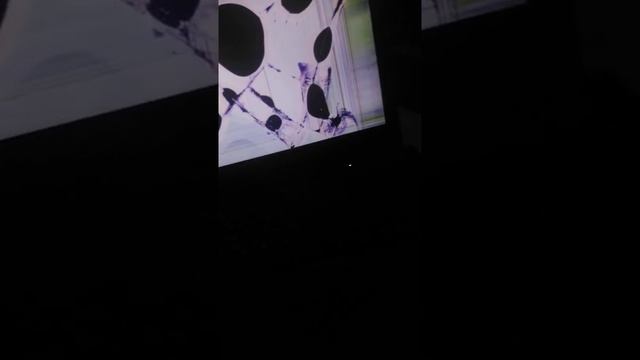 Я разбил ноут смотреть онлайн