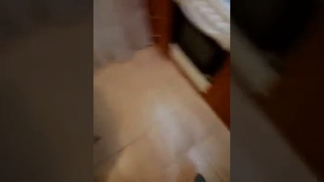 Блинный аппарат Гриль-мастер, блинница электрическая Ф2БкрЭ. смотреть онлайн