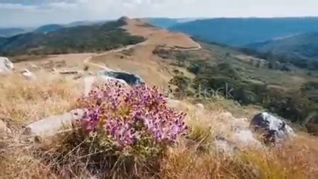 Оплатите, а потом на исповедь смотреть онлайн
