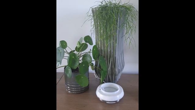 AirAqua Spirit aroma diffuser (ultrasoon) смотреть онлайн
