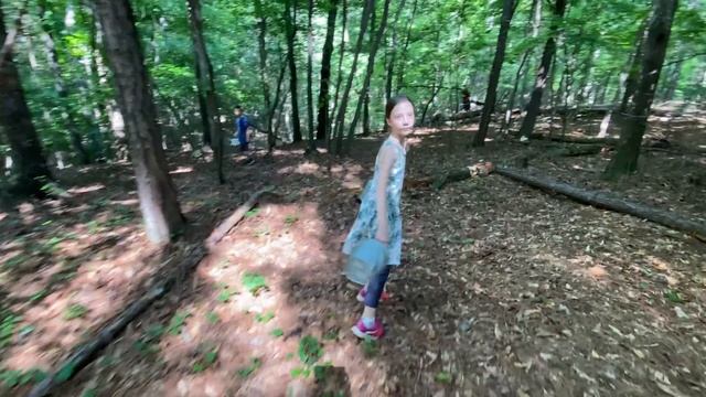 Chanterelle Mushrooms Foraging in South Carolina. Собираем Грибы Лисички в Америке, Южная Каролина смотреть онлайн