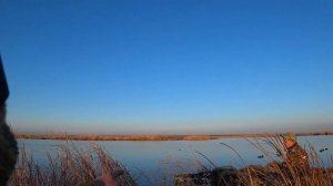 ОХОТА НА УТКУ