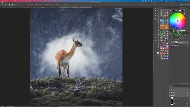 TK8 MULTI-MASK PLUGIN for PHOTOSHOP: MASKING SUCCESS Part 2 // It's TK Friday... смотреть онлайн