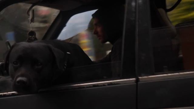 Новая Зеландия. Мечта путешественника. Большой выпуск. смотреть онлайн