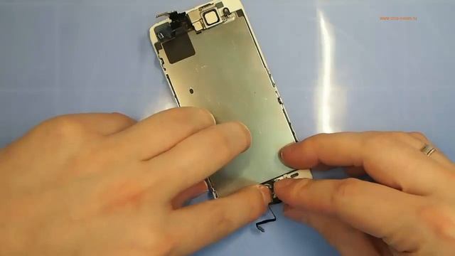 Замена кнопки Home на iPhone 5S, самостоятельная разборка и ремонт кнопки хом айфона 5S смотреть онлайн