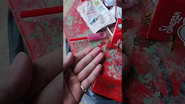 Оса ест с рук и не кусает! смотреть онлайн