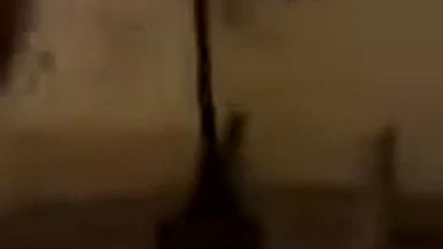 Poseido en sanlucar de barrameda смотреть онлайн