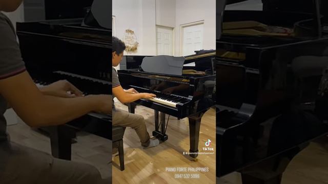 Yamaha G3E Grand Piano video demo смотреть онлайн