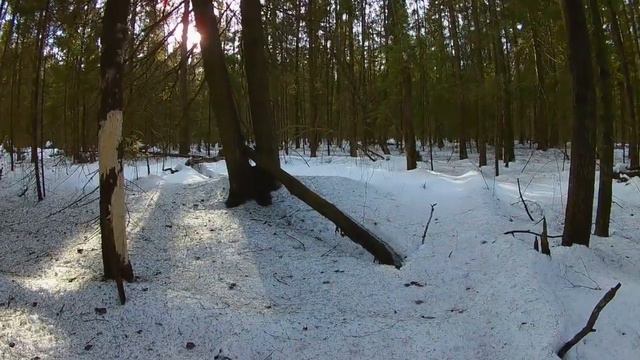 Снег в лесу 26 марта, Подмосковье. Весеннее тропление Йети (Бигфут, Снежный человек) смотреть онлайн