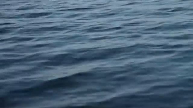 Микроджиг. Ловля Окуня Поздней Осенью. Мастер-Класс "О рыбалке всерьёз" видео 247. смотреть онлайн