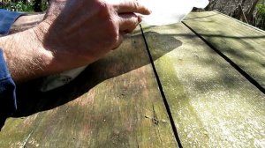 черенкование киви