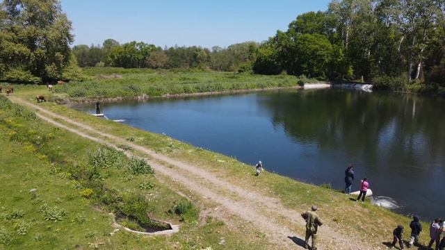 Платан (Самурский лес, Дагестан) смотреть онлайн