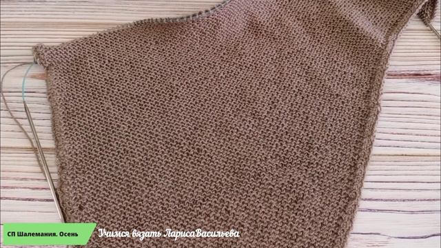 Продвижение по бактусу//СП Шалемания. Осень// Отчёт #5 смотреть онлайн