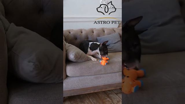 желтая собака логотип 12 смотреть онлайн