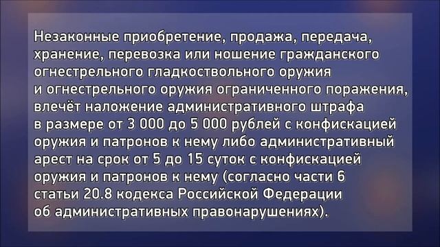 Правила хранения огнестрельного оружия физическими лицами и ответственность за их нарушение смотреть онлайн