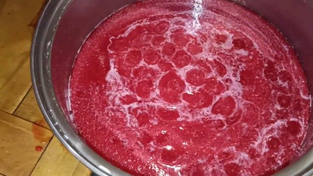 Наталья Лях. Сад, огород и многое другое