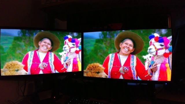 Monitor Comparison with AOC G2460PF ( left ) vs. Acer XF270HUA ( right ) смотреть онлайн