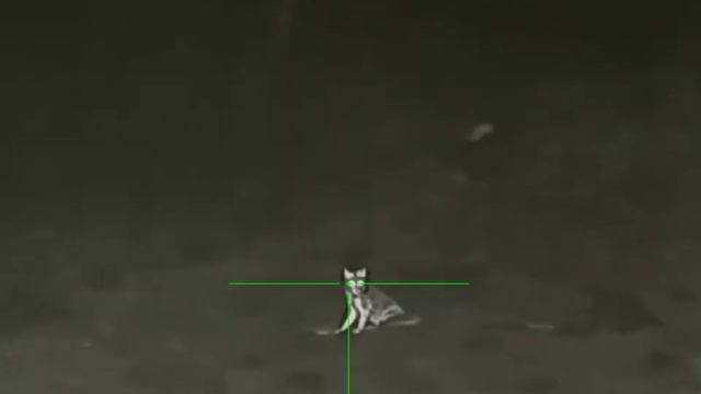 Rico RL 42 lov lišky смотреть онлайн