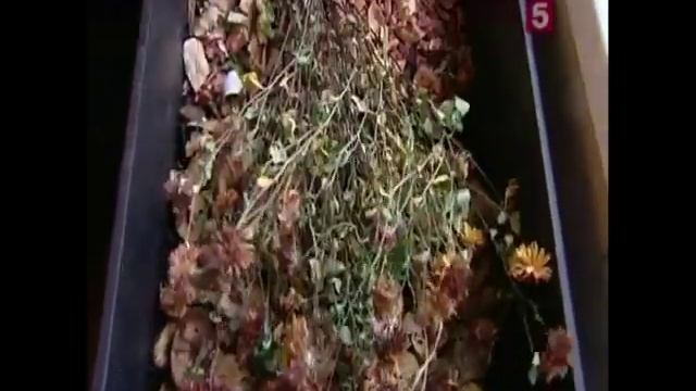 Вермикомпостер WormCafe на кухне и раздельный сбор мусора смотреть онлайн