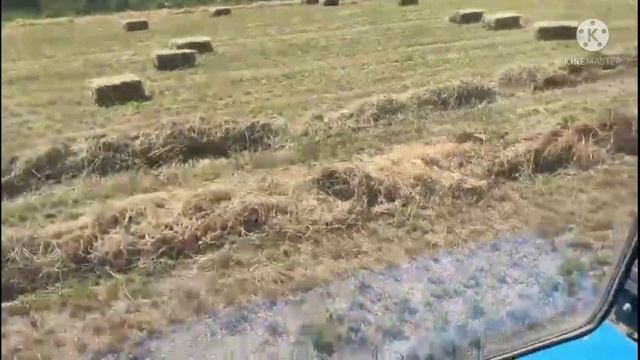 Семереченская люцерна на поливе. Прессует мой друг дядя Сейфудин. смотреть онлайн