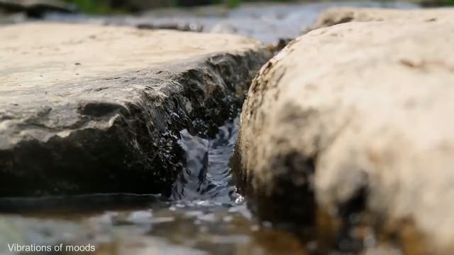 Поющие тибетские чаши. Успокаивающая музыка. смотреть онлайн