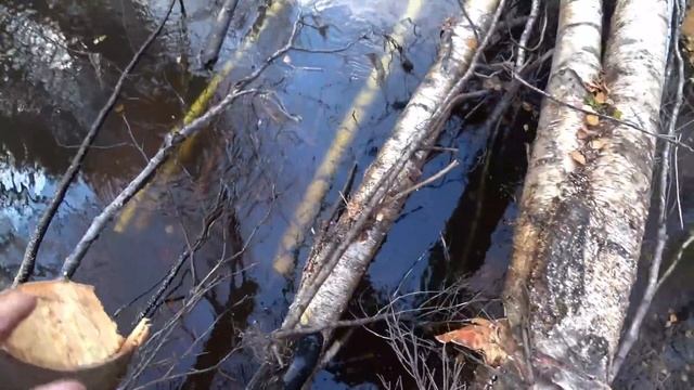 Живу в тайге. Пилю затор на реке. Готовлю тесто для оладьи. смотреть онлайн