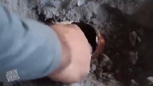 Подборка людей издевающихся над животными... Или нет.