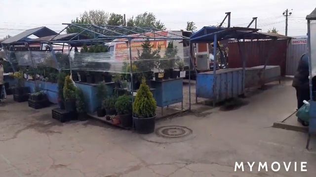 ОТКРЫЛИ РЫНКИ . ЦЕНТРАЛЬНО- ГОРОДСКОЙ РЫНОК .. 15.05.2020. КРИВОЙ РОГ ... смотреть онлайн