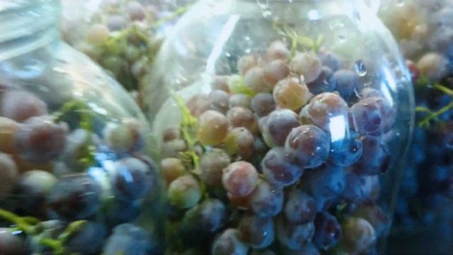 Закрываем компот из винограда Изабелла. смотреть онлайн