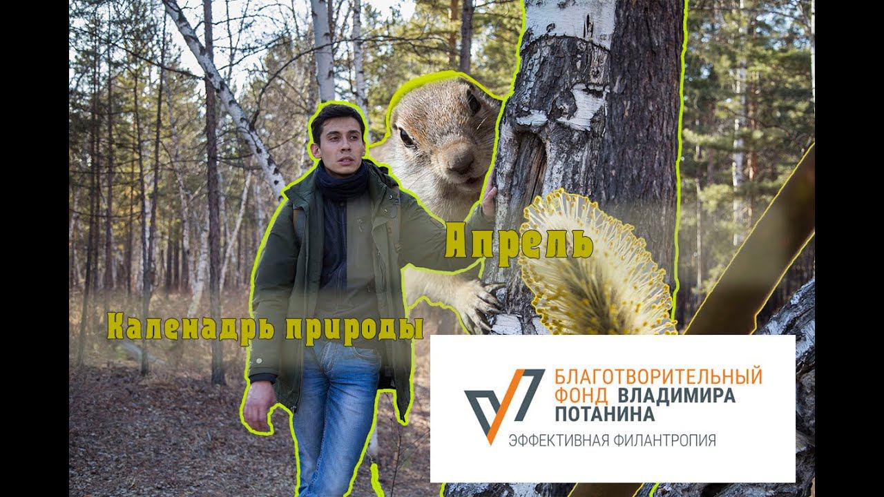 Календарь Природы Апрель смотреть онлайн