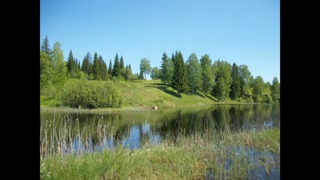 Обозерская 2011г-берега смотреть онлайн