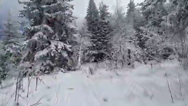 03.11.2019г.Уреньга на лыжах. смотреть онлайн