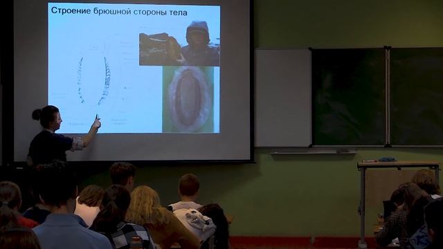 Биология.  Римская Корсакова Н. Н.  28 11