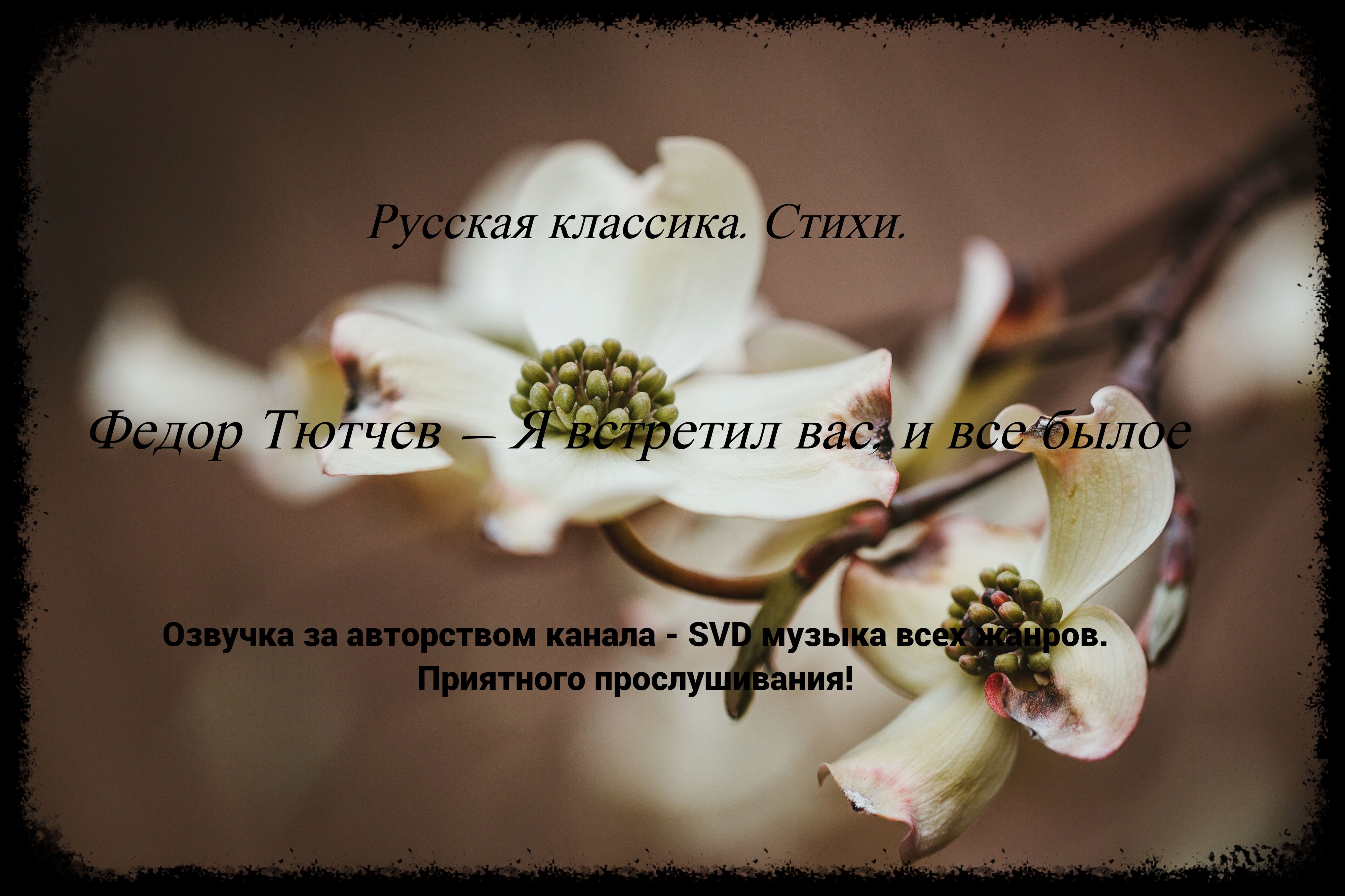Русская классика. Стихи. — Федор Тютчев — Я встретил вас, и все былое. смотреть онлайн