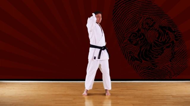 Tate empi - Basic - Online education - Shotokan Karate-Do JKA смотреть онлайн