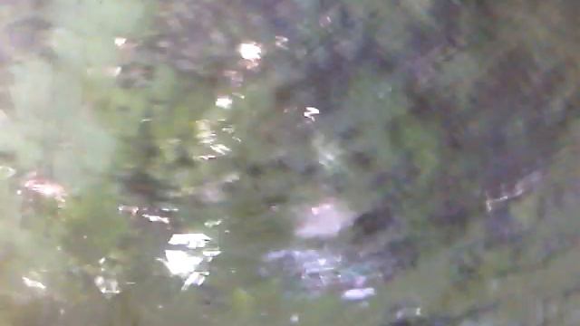 VID 20190829 142227 смотреть онлайн