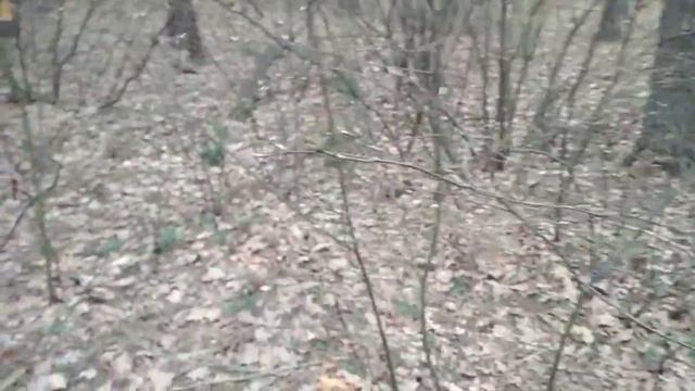 25 марта Ты начисто притворства лишена Е Евтушенко