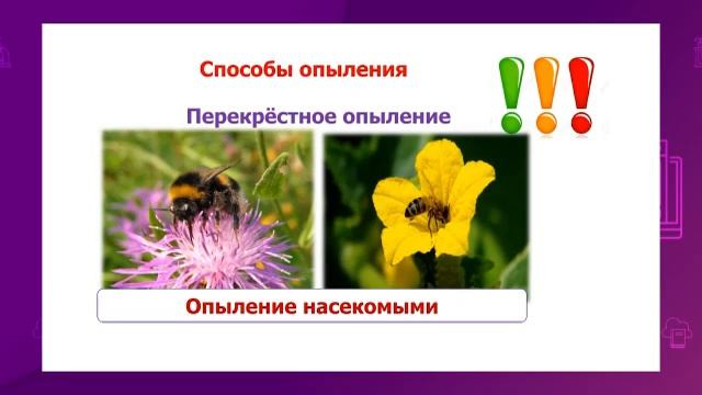 Естествознание. 4 класс /21.09.2020/