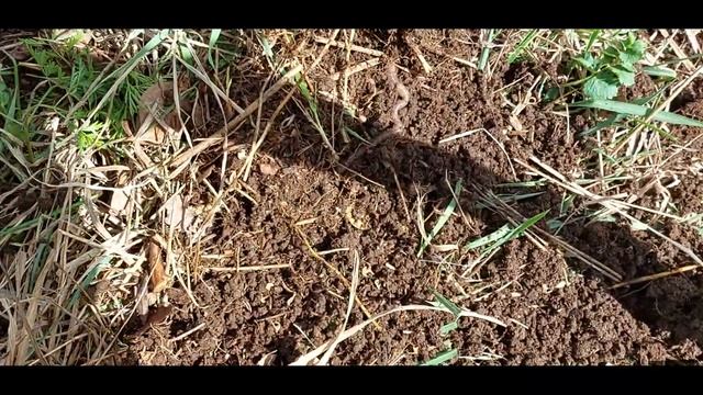 Находки у старого пруда на фундаменте дома железнодорожника ??? #37 смотреть онлайн