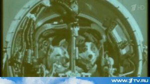 55 лет полету в космос Белки и Стрелки!