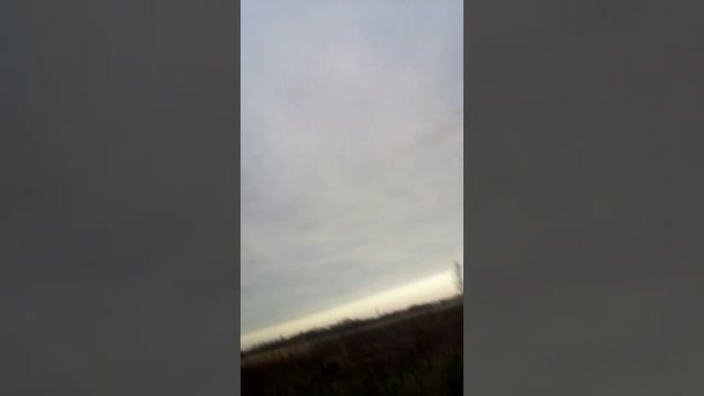 Крайний день перед закрытием охоты. смотреть онлайн