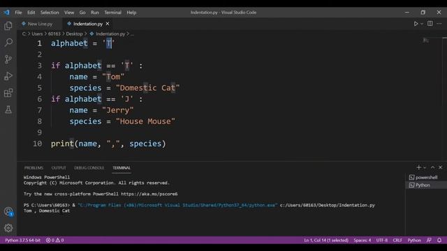 New Lines And Indentation смотреть онлайн