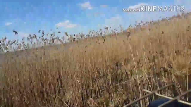Болотные тесты вездехода 'Хаски' смотреть онлайн
