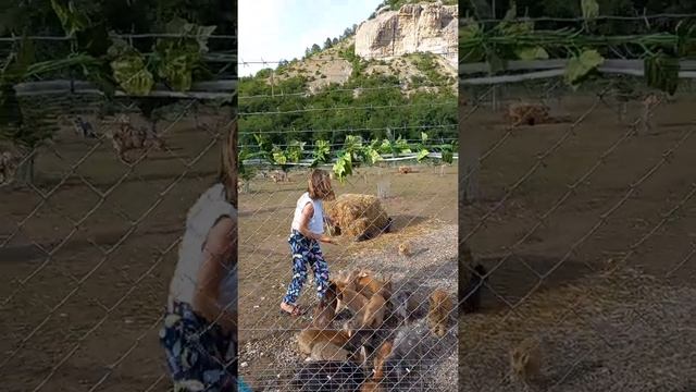Бахчисарай, озеро Любви. смотреть онлайн