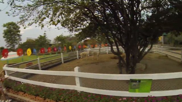 Новый Зоопарк в Хуахин / New Zoo In Hua Hin