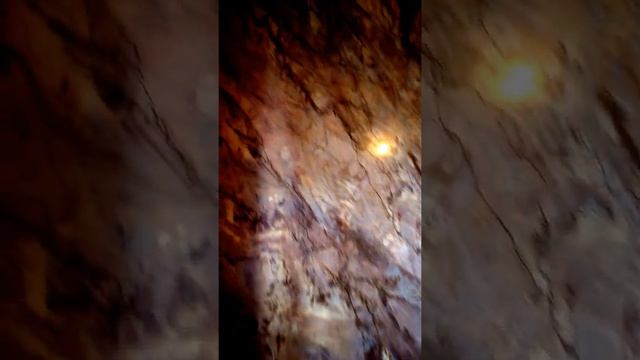 художественная венецианка