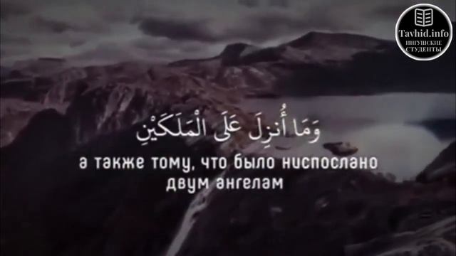 /Рукъия/Чтец Иса Барахоев/Коран 2:102/ смотреть онлайн