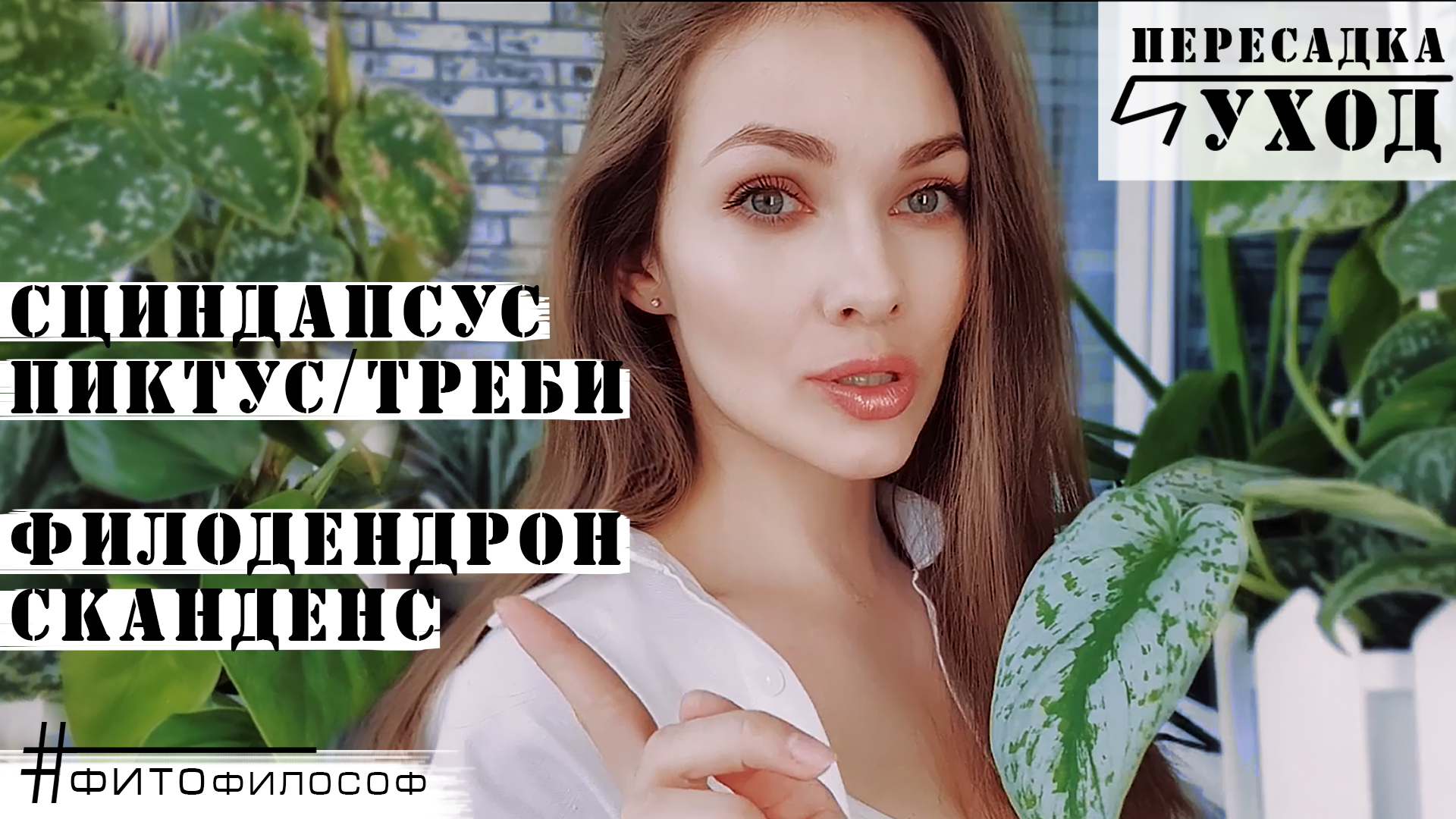 САЖАЮ В ОДИН ГОРШОК: Филодендрон и Сциндапсус! Уход, полив, грунт.