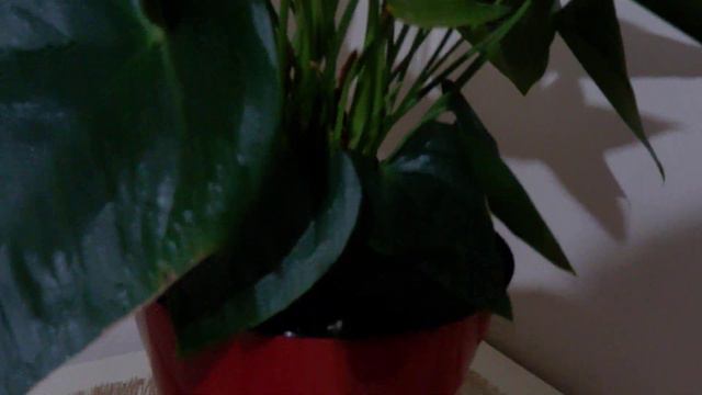 Мужское счастье! А ваш муж счастлив с вами???💞💞💞💞💞💖💖💖💖💖 смотреть онлайн