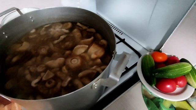 Гараж и Мастерская